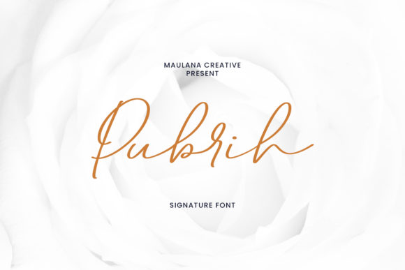 Pubrih: A Stylish Script Font for Elegant Web Design