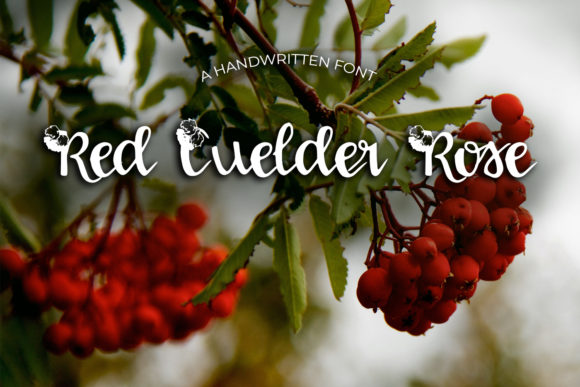 Red Guelder Rose Font for Handmade Creations